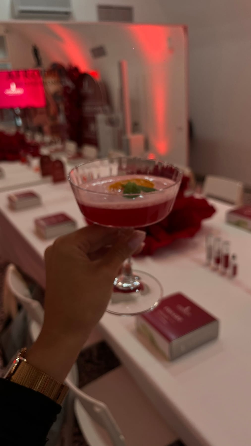 Koktajl v roki s pogledom na branding Afrodita Professional v 369 Place Ljubljana