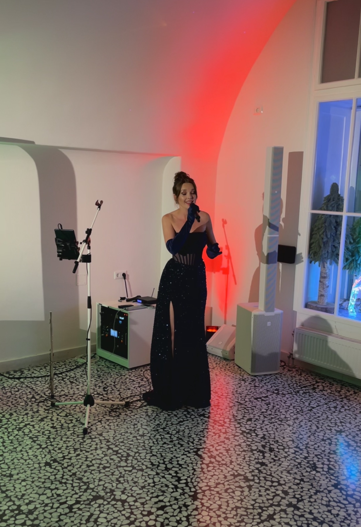 Večerja Pangos — atmosfera, 369 Place Ljubljana